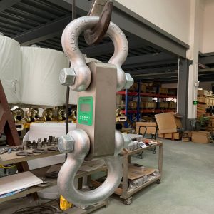 1t防水板环测力计 带卸扣 按需定制